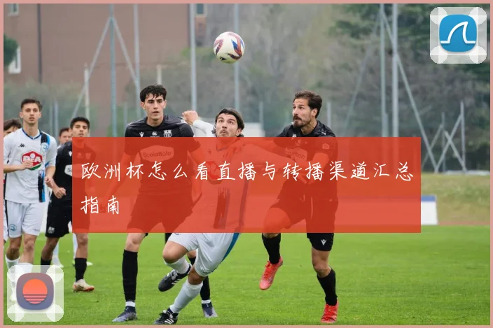 欧洲杯怎么看直播与转播渠道汇总指南